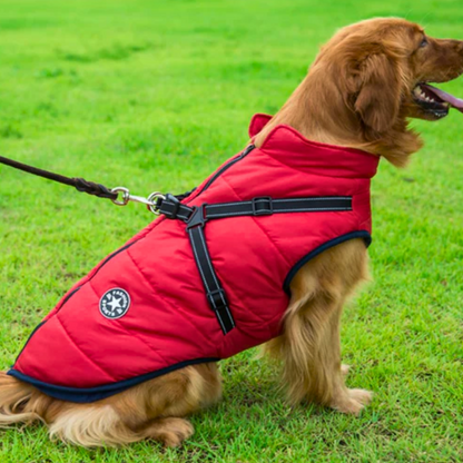 3 in 1 Pet Jacket