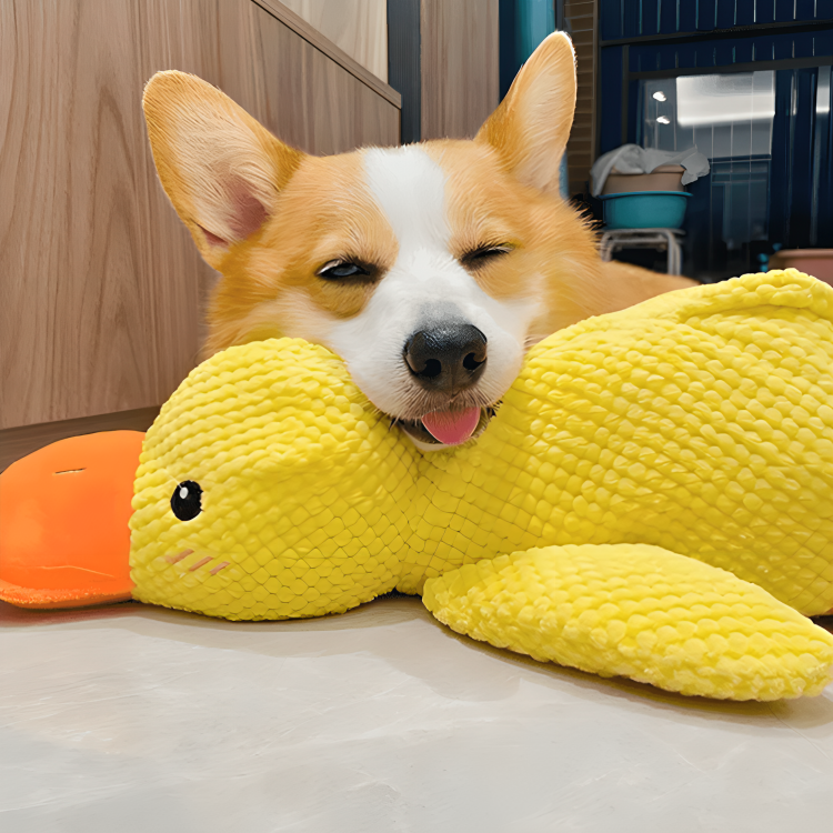 Calming Duck Toy (Free Today)