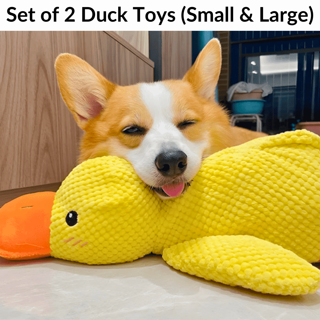 Calming Duck Toy (Free Today)