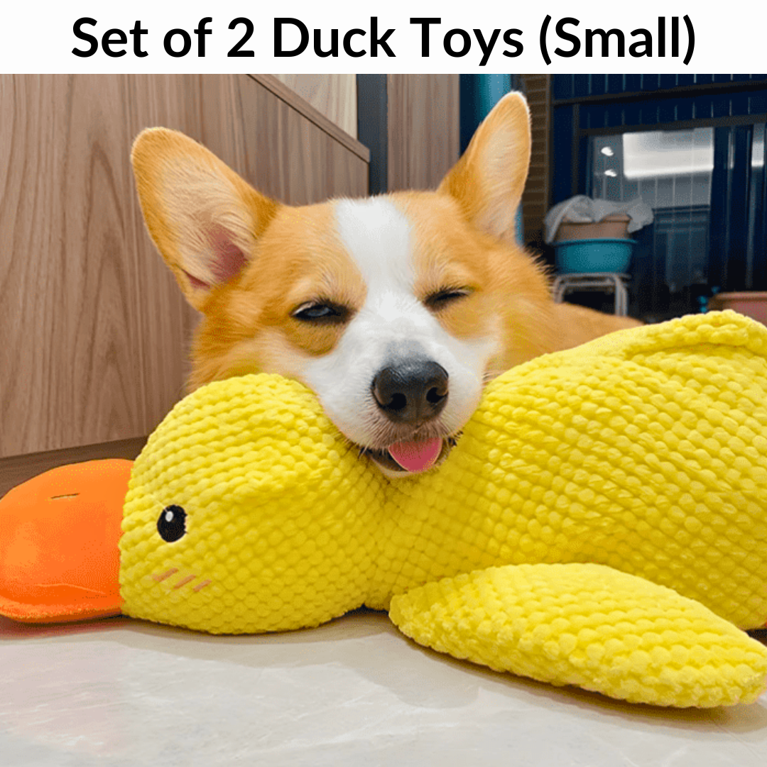 Calming Duck Toy (Free Today)